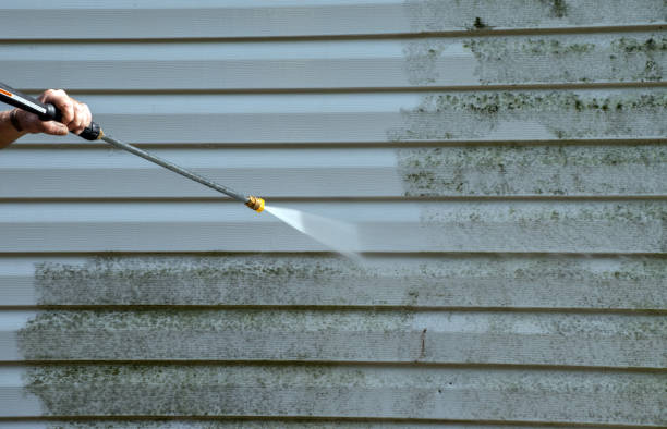 Best Dumpster Area Cleaning  in Fort Thompson, SD